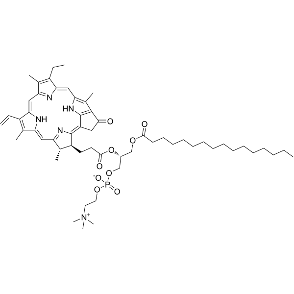 1-Palmitoyl-2-pyropheophorbide a-sn-glycero-3-pc 1287795-07-6